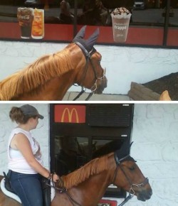 5 Readers Who Just Rode In For Lunch