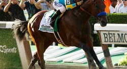 Vote For American Pharoah in the ESPYs