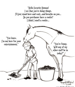 The Idea of Order: Staff…