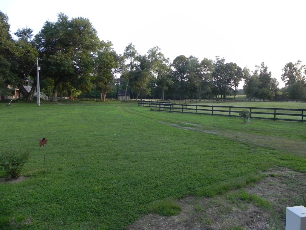 Farm giveaway essay 07 picture