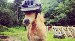 Weekly Instagram Round-Up