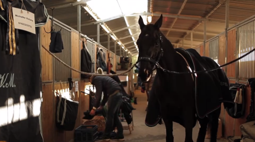 Video: FEI’s Behind the Scenes Series