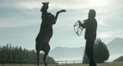 Horse Commercials: Nedbank Business Banking’s ‘The Reins’