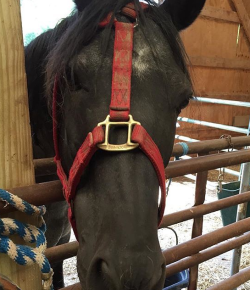 Weekly Instagram Round-Up