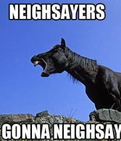 #TBT: 8 Things Equestrians Probably Shouldn’t Admit That We’ve Done