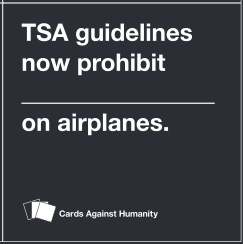 tsa guidelines