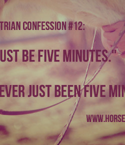 #TBT: HN Equestrian Confessions, Volume II