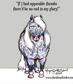 The Idea of Order: A Glimpse Into Your Pony’s Mind …