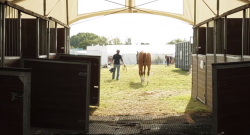 FEI ‘Behind the Scenes’ Ep. 3: Nations Cup at Hickstead