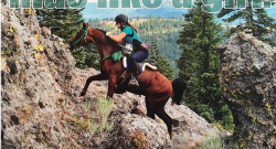 Weekly Instagram Round-Up