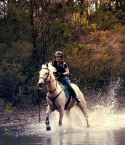 Weekly Instagram Round-Up