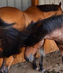 Weekly Instagram Round-Up