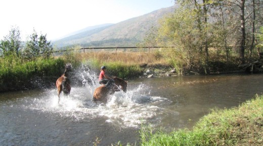 ‘Oh Crap’ Monday