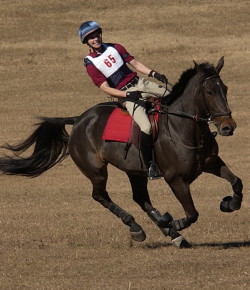 ‘Oh Crap’ Monday