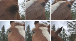 A Brief Open Letter to Apple About the New iOS Update