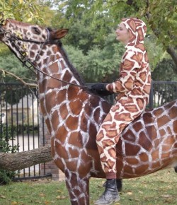 5 Animal Costume Ideas For Your Horse (Plus Our Contest!), Pres. by World Equestrian Brands