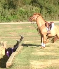 ‘Oh Crap’ Monday