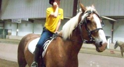 43 Reader-Submitted Ways to Kill Your Phone at the Barn