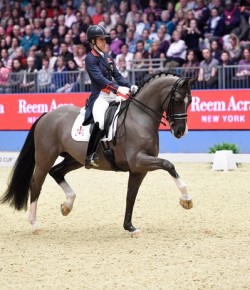 SpectraVET Performance of the Week: Valegro’s Top 5 Moments