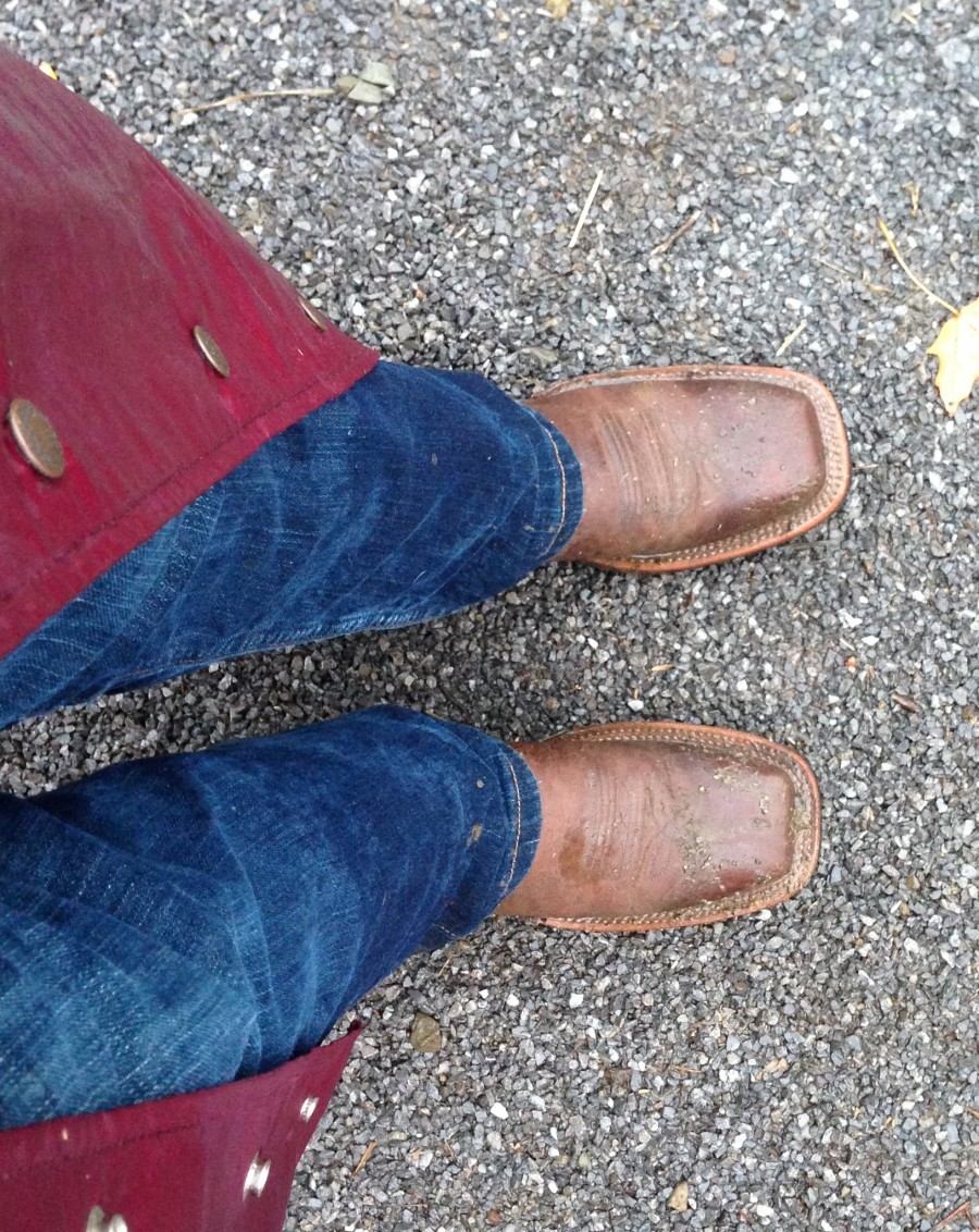 SmartPak Morning Feed SP’s Exclusive Justin Boots Review HORSE NATION