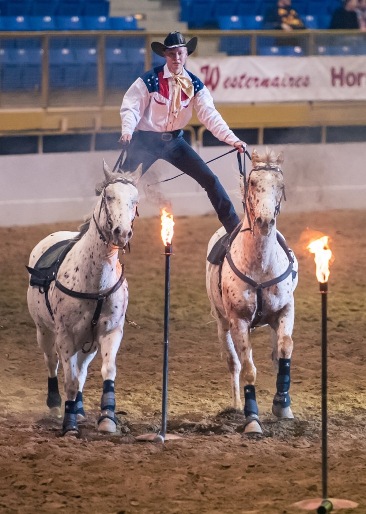 Standing Ovation by Ovation Riding: The Westernaires | HORSE NATION