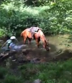 ‘Oh Crap’ Monday