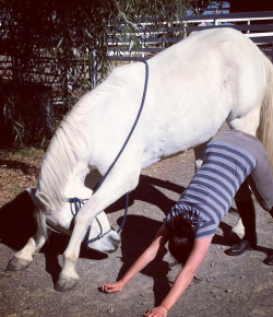 Weekly Instagram Round-Up