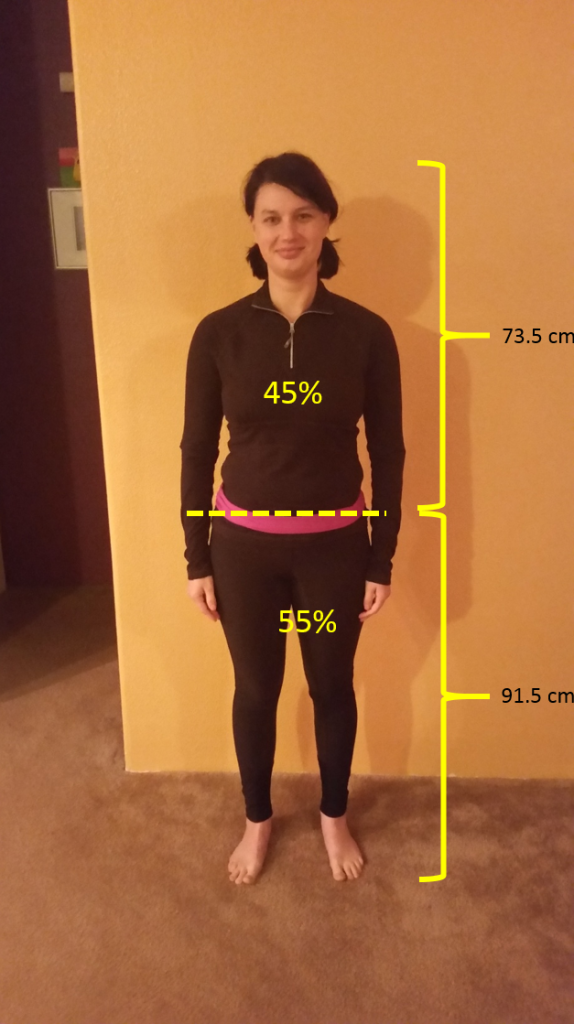 Back to Basics Human Conformation HORSE NATION