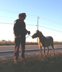 ‘Oh Crap’ Monday