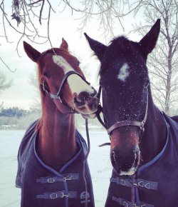 Weekly Instagram Round-Up