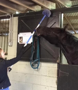 Weekly Instagram Round-Up