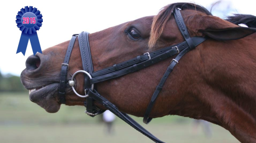 2015 Best of HN #17: The 10 Best-of-Show Reader-Submitted Mare Glares