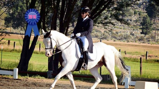 2015 Best of HN #14: 5 Non-Traditional Breeds Rocking Upper-Level Dressage