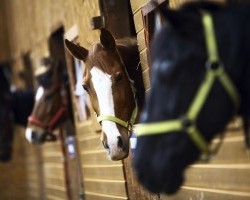 Kentucky Performance Products: Night Check