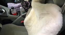 24-Hour Photo Challenge: Horse Stuff = House Stuff