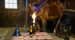 Weekly Instagram Round-Up