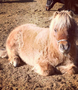 Weekly Instagram Round-Up