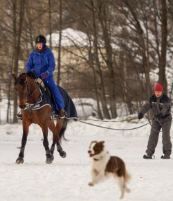 Weekly Instagram Round-Up