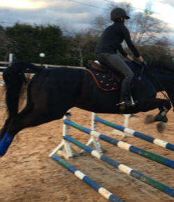 ‘Oh Crap’ Monday