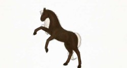 Best of Craigslist: Special Edition