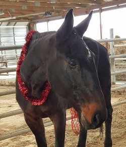 Your Turn: Why Quarantine Is Critical