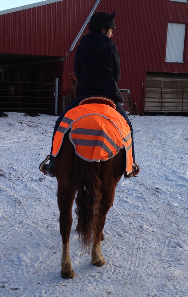 Product Review Horze Reflective Wrap Riding Sheet HORSE NATION