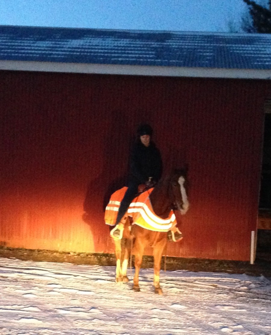 Product Review Horze Reflective Wrap Riding Sheet HORSE NATION