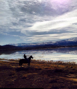 #horsenation ‘Grams of the Week