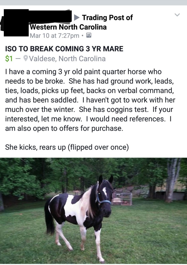 Best of Craigslist Just Being Honest Edition HORSE NATION