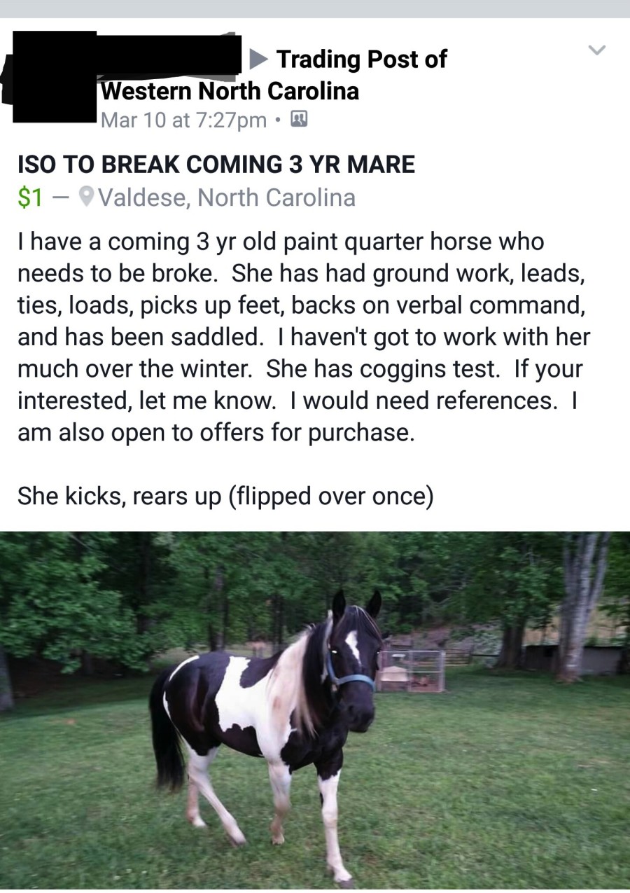 Best of Craigslist Just Being Honest Edition HORSE NATION