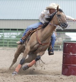 Kentucky Performance Products: Excitable?