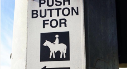 #horsenation ‘Grams of the Week