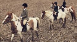 #horsenation ‘Grams of the Week