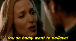 Best of Craigslist: Believe It Or Not Edition